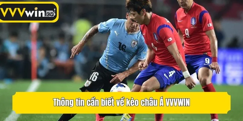 Thông tin cần biết về kèo châu Á VVVwin